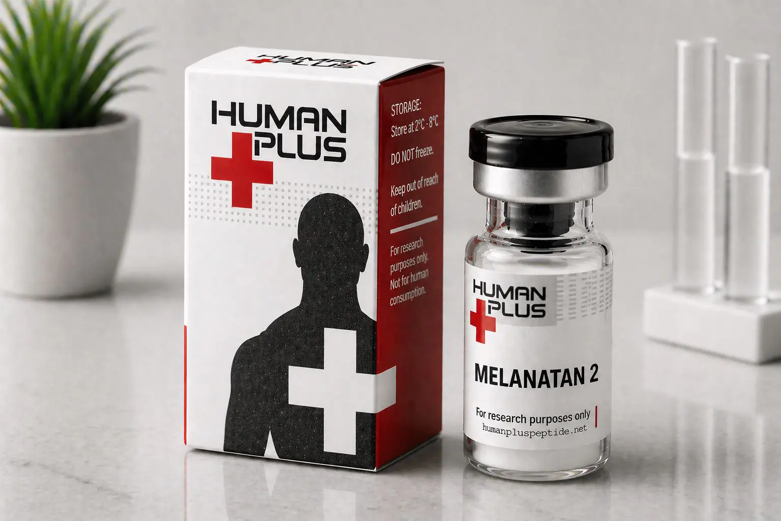 MELANATAN – 2